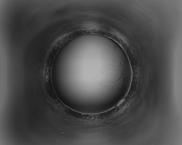 X0000095931016200801111251