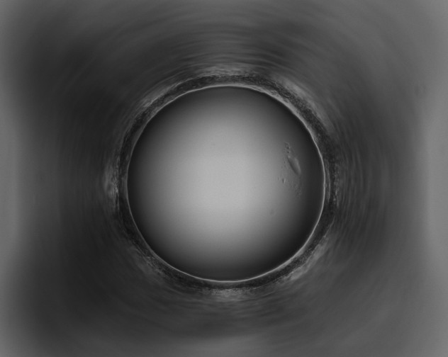X0000095931017200801111251