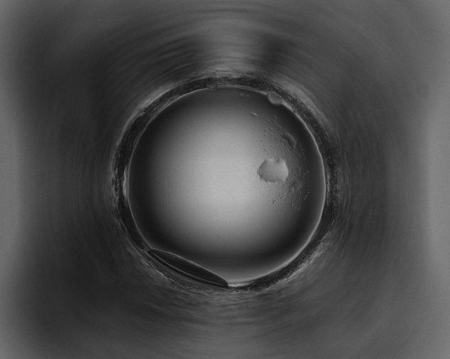 X0000095931018200801111251