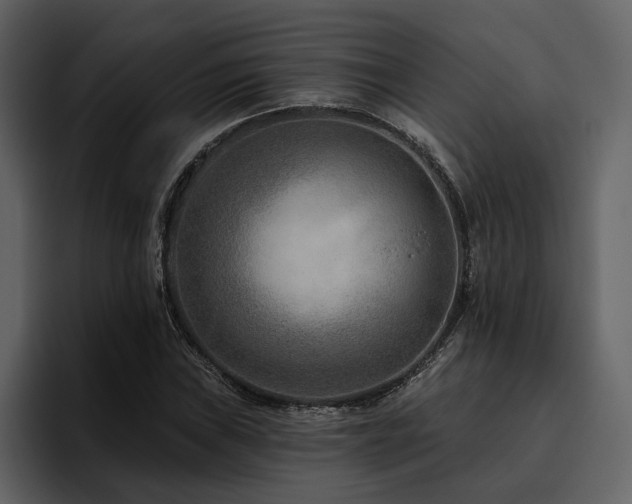 X0000095931019200801111251