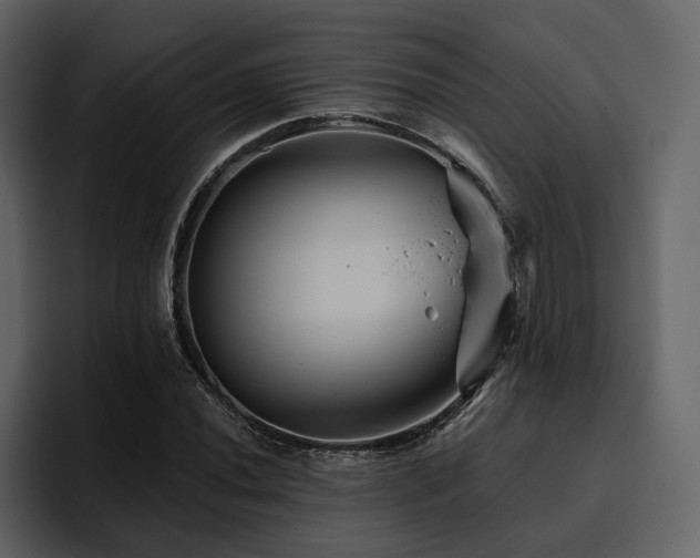 X0000095931020200801111251