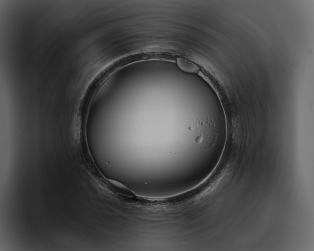 X0000095931021200801111251