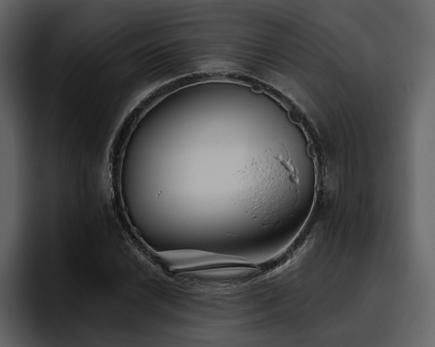 X0000095931022200801111251