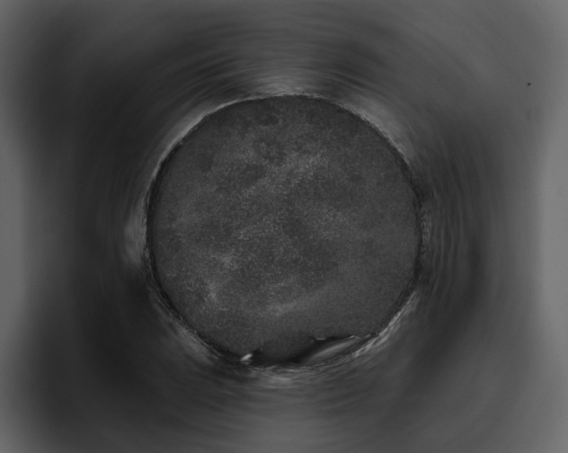 X0000095931023200801111251