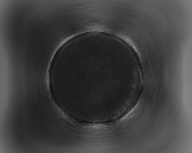 X0000095931024200801111251