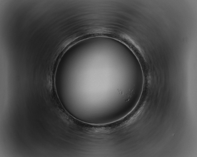 X0000095931025200801111251
