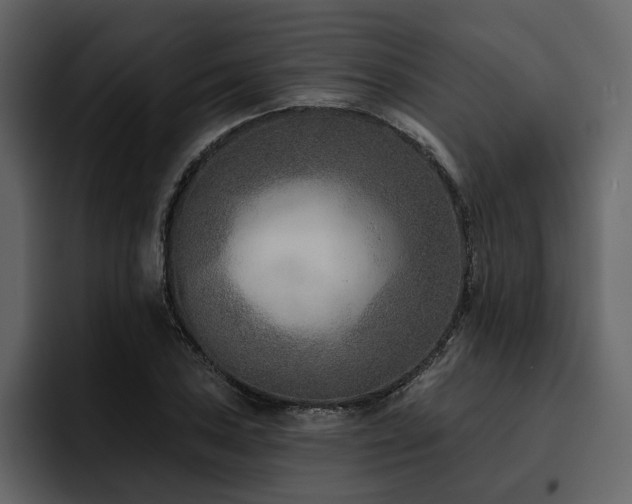 X0000095931027200801111251