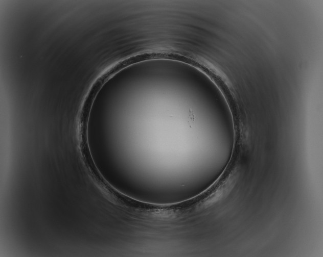X0000095931029200801111251
