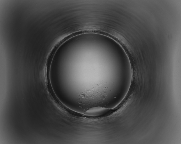 X0000095931030200801111251