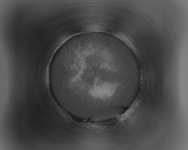 X0000095931031200801111251
