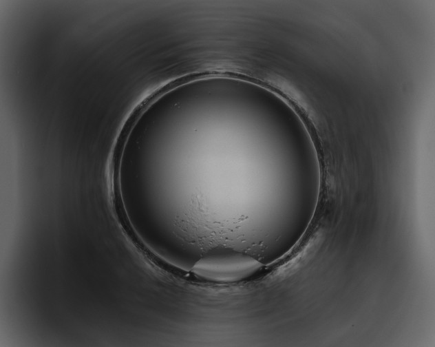 X0000095931032200801111251