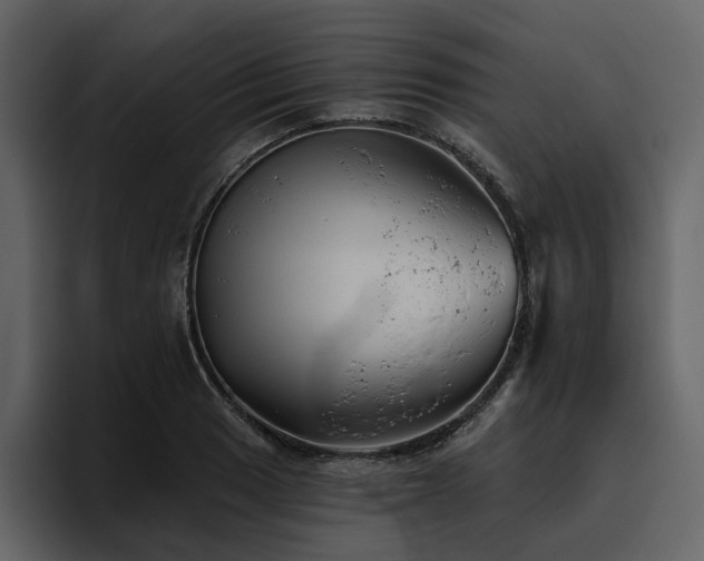 X0000095931033200801111251