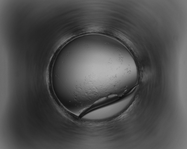 X0000095931034200801111251