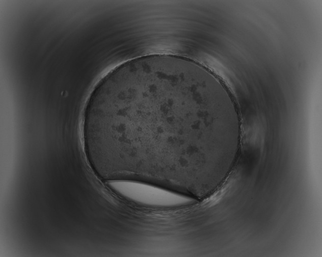 X0000095931035200801111251