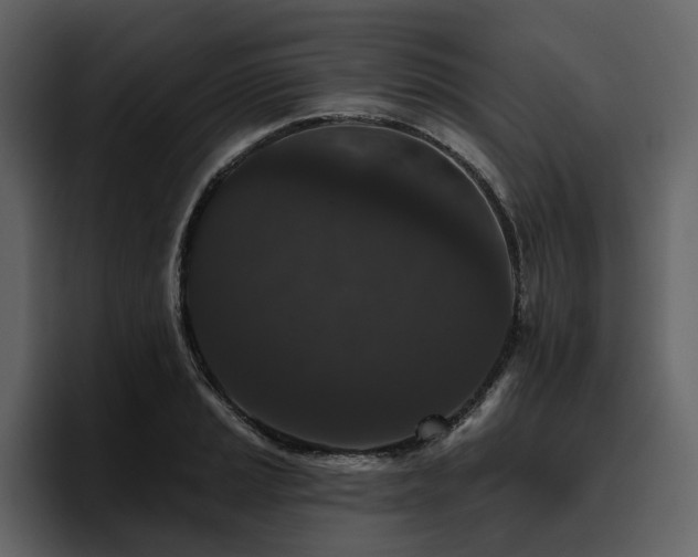 X0000095931037200801111251
