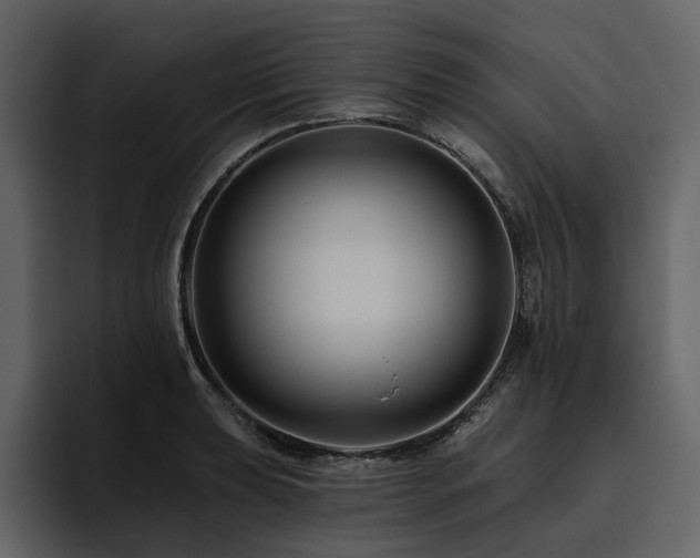 X0000095931039200801111251