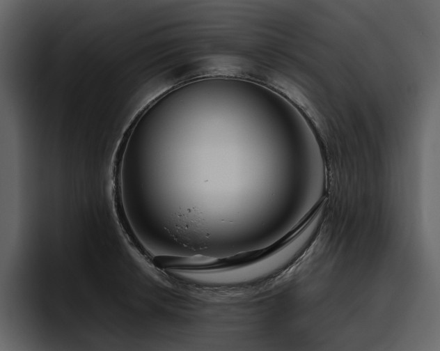 X0000095931042200801111251