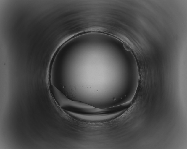 X0000095931044200801111251