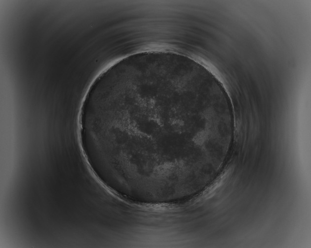 X0000095931045200801111251
