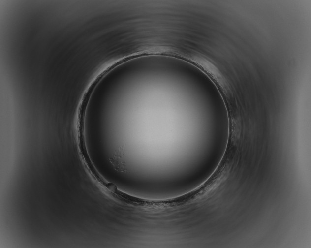 X0000095931046200801111251