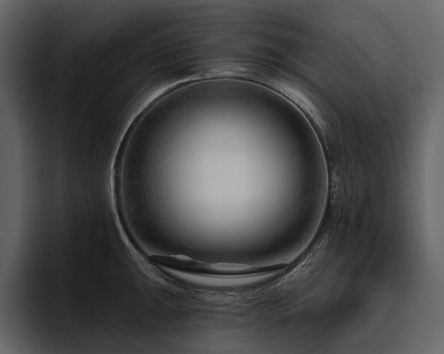 X0000095931047200801111251