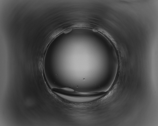 X0000095931049200801111251
