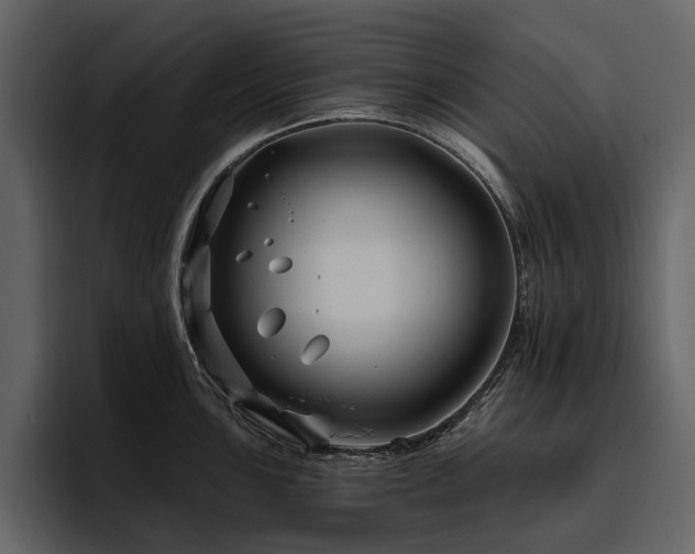 X0000095931051200801111251
