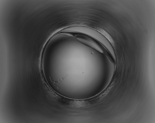 X0000095931052200801111251