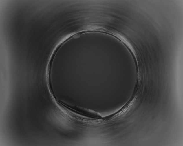 X0000095931053200801111251