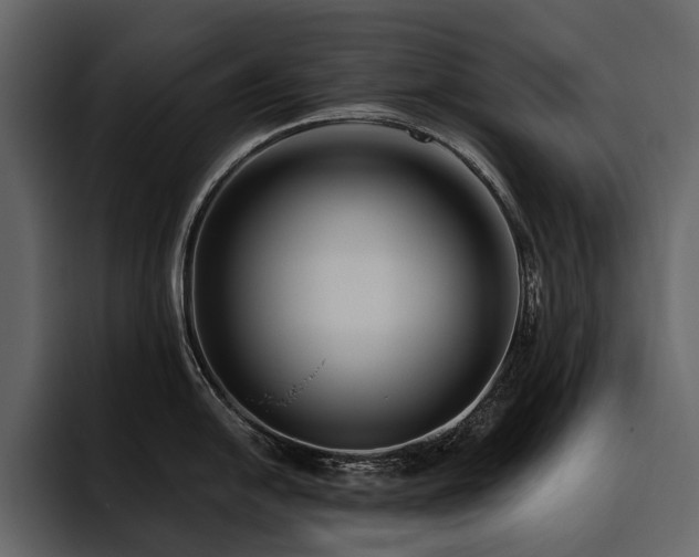 X0000095931054200801111251