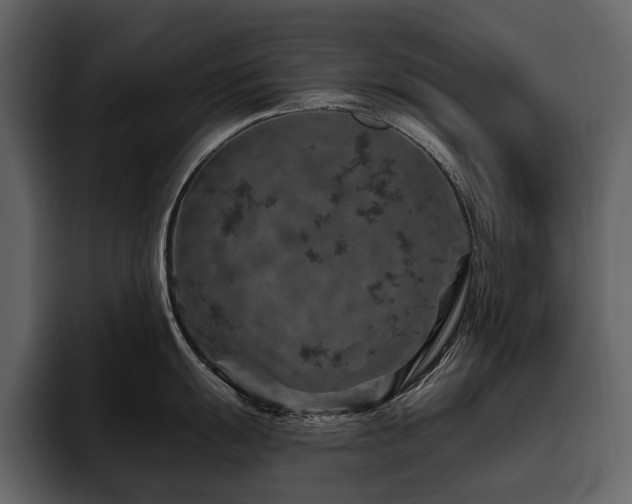 X0000095931055200801111251