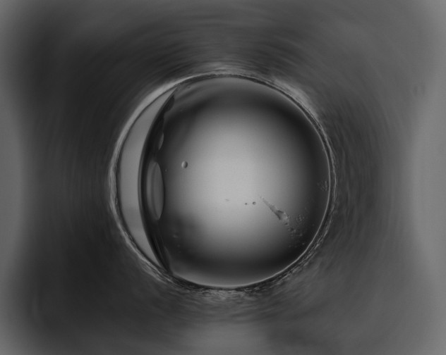 X0000095931056200801111251