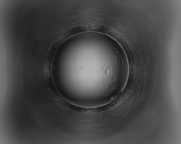 X0000095931058200801111250