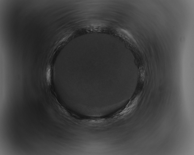 X0000095931060200801111250