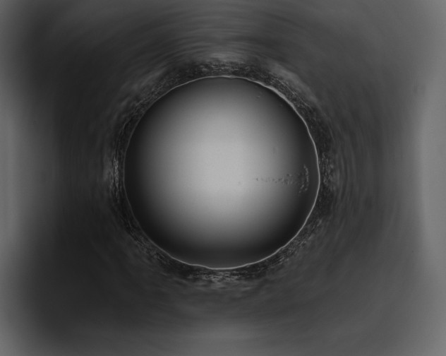 X0000095931061200801111250