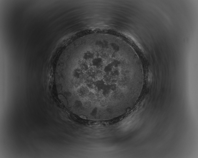 X0000095931063200801111250