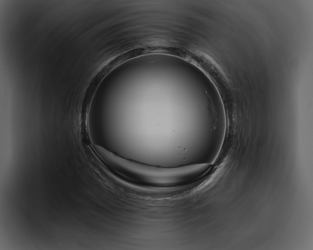X0000095931065200801111250