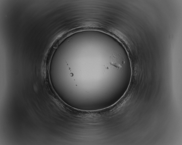 X0000095931067200801111250