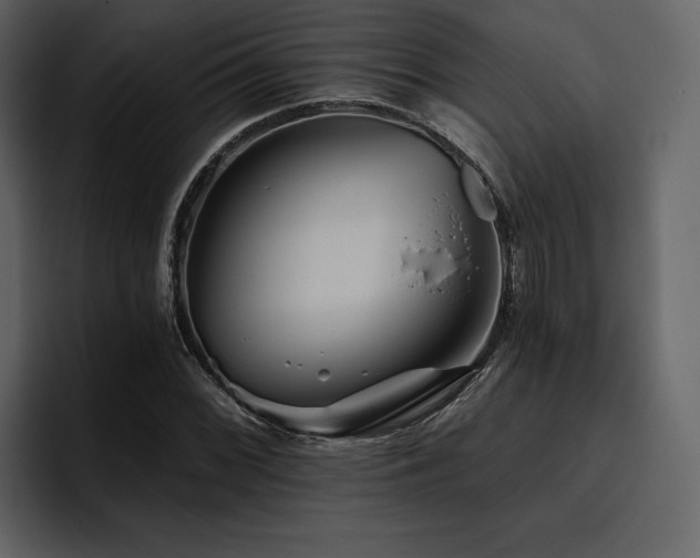 X0000095931068200801111250