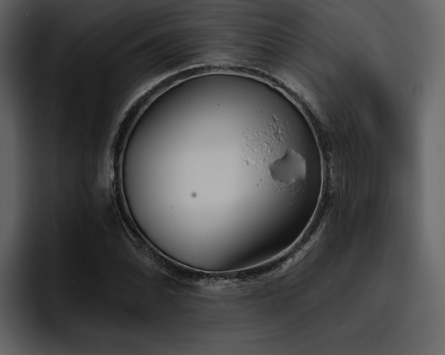 X0000095931070200801111250