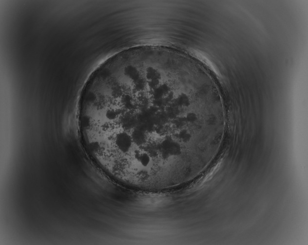 X0000095931071200801111250
