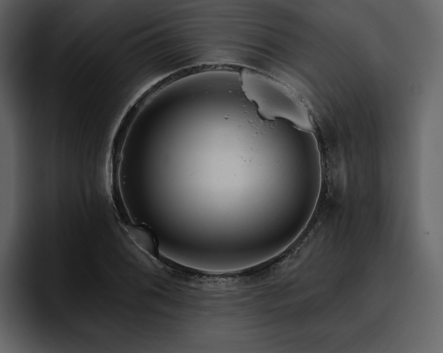 X0000095931076200801111250