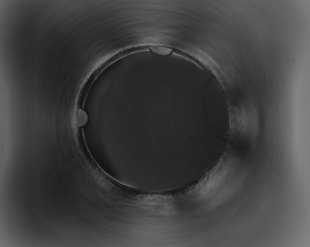 X0000095931077200801111250