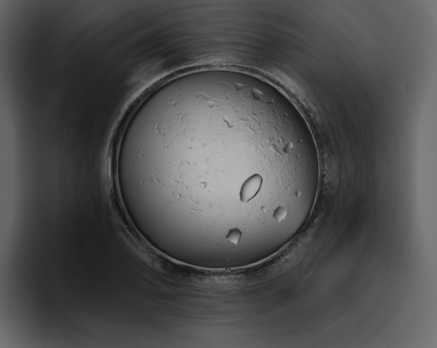 X0000095931078200801111250