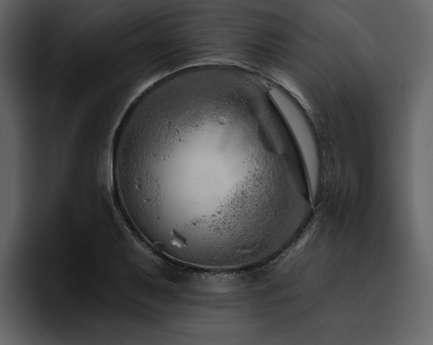 X0000095931079200801111250