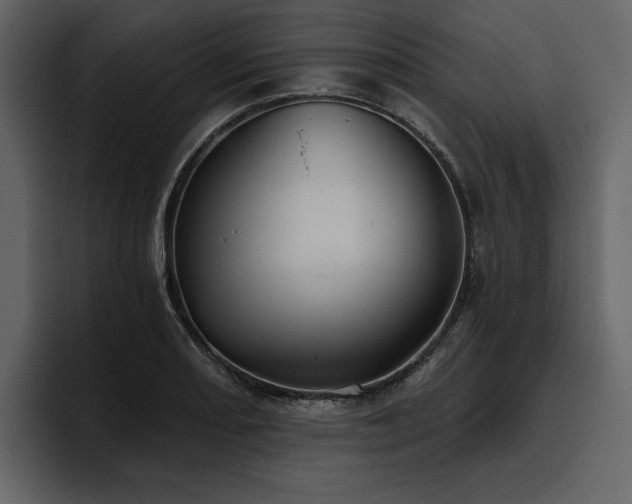 X0000095931082200801111250