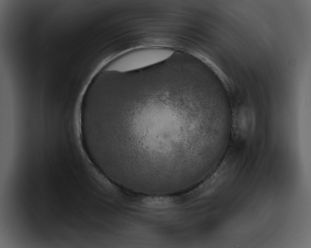 X0000095931083200801111250