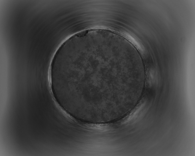 X0000095931084200801111250