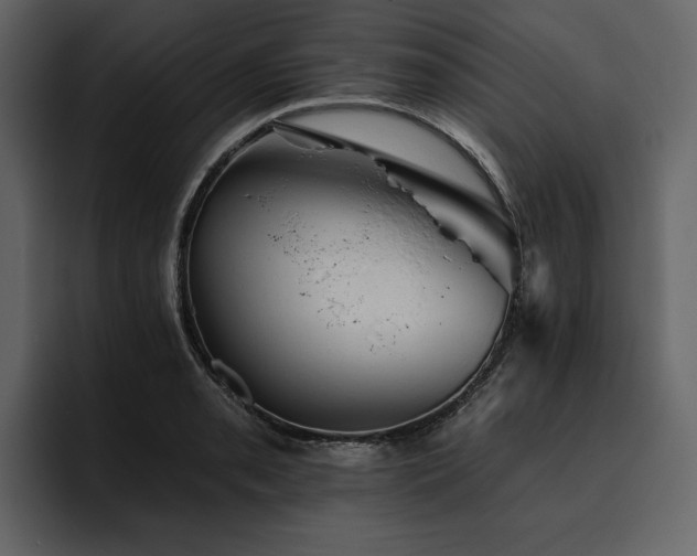 X0000095931085200801111250