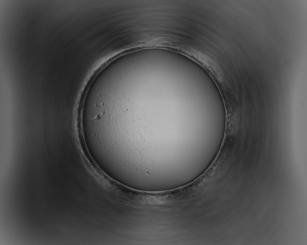 X0000095931086200801111250